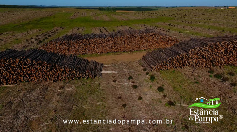 DOS EÓLICOS VIRA P FAZENDA_Moment.00_01_22_14.Quadro321_6dbefea44605a0032c3f5a8276a51f3b8e3cd94b.jpg